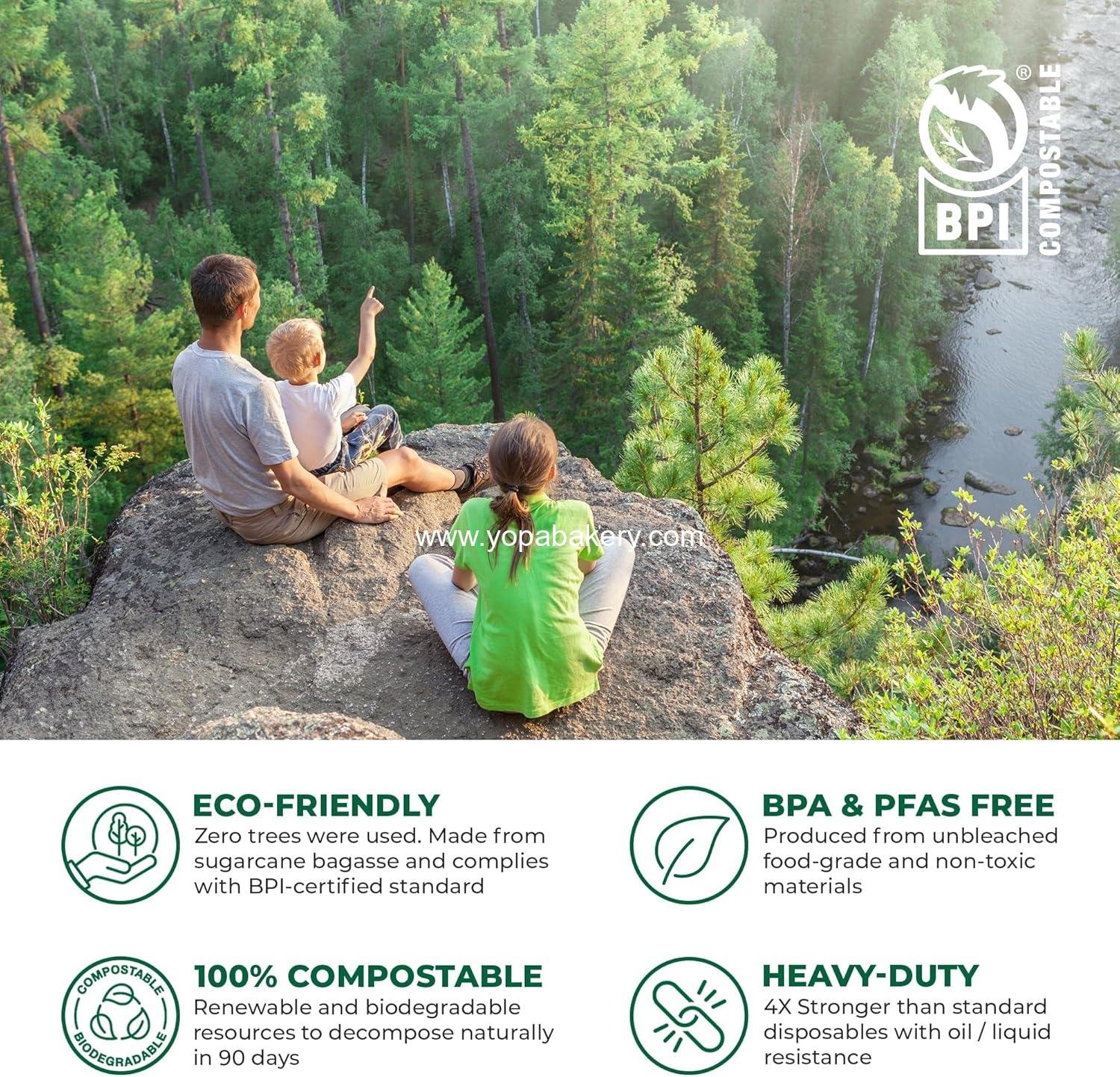 Wholesale Biodegradable Clamshell Food Containers with Lids [9x6, 50-Pack], Disposable Sugarcane To Go Boxes - Microwave & Freezer Safe, Stackable Factory