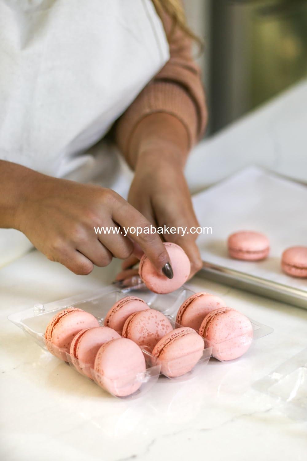 Wholesale Clear Plastic Macaron Containers - Fits 12 Macarons, Pack of 15 - Factory