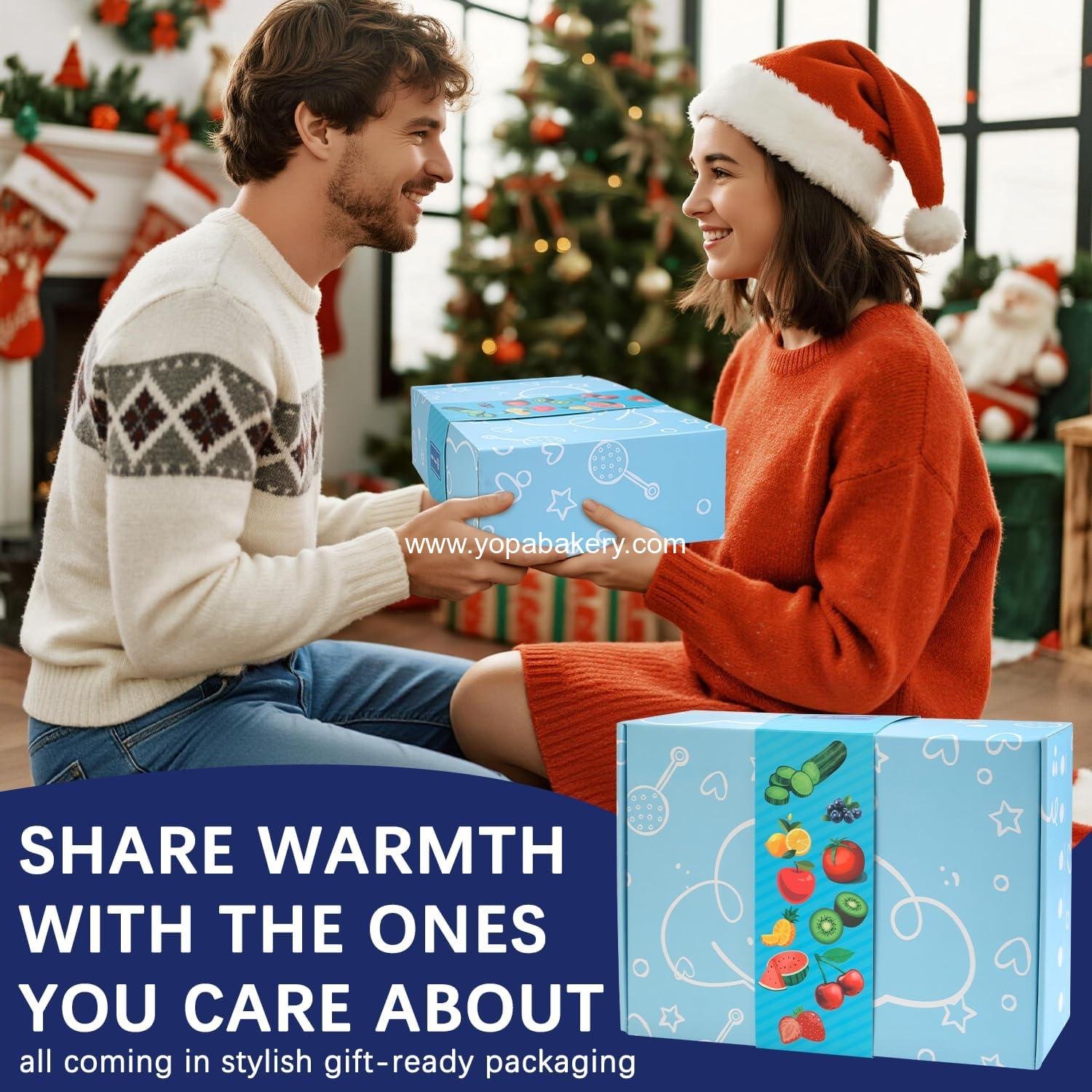 OEM Chilled Portable Snackle Box Container Insulated Bag - Keep Food Warm with 12 Compartment Divided Serving Tray and Reusable Ice Pack - Perfect for Charcuterie, Road Trips, and Picnics - Christmas and Thanksgiving Gift Essentials - Wholesale Factory