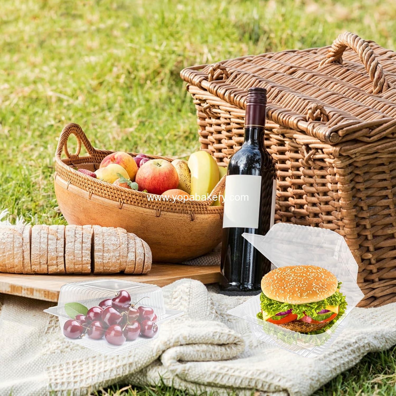 Wholesale Clear Plastic Take Out Containers - 50 Pcs Square Hinged Food Containers with Lids, Disposable Clamshells for Salad, Pasta, Hamburger (5.3 x 4.7 x 2.8 in) - Factory