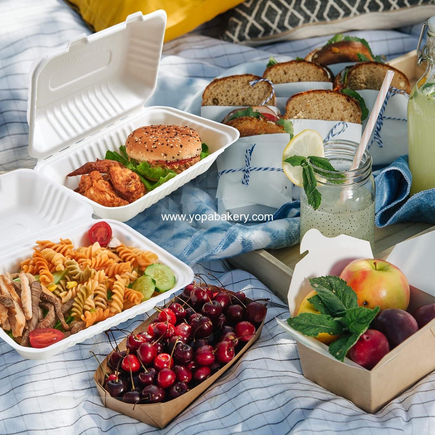 Wholesale Clamshell Take Out Food Containers 9x6 Inch 75-Pack Disposable To Go Boxes for Food Salad Manufacturer