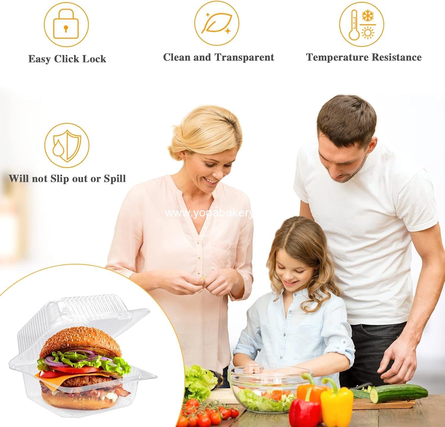 Wholesale 100 Pcs Clear Hinged Plastic Containers with Lids, Individual Cake Slice and Square Food Containers, Disposable Clamshell Takeout for Cakes, Cookies, Pasta, Sandwiches, Salad - Factory