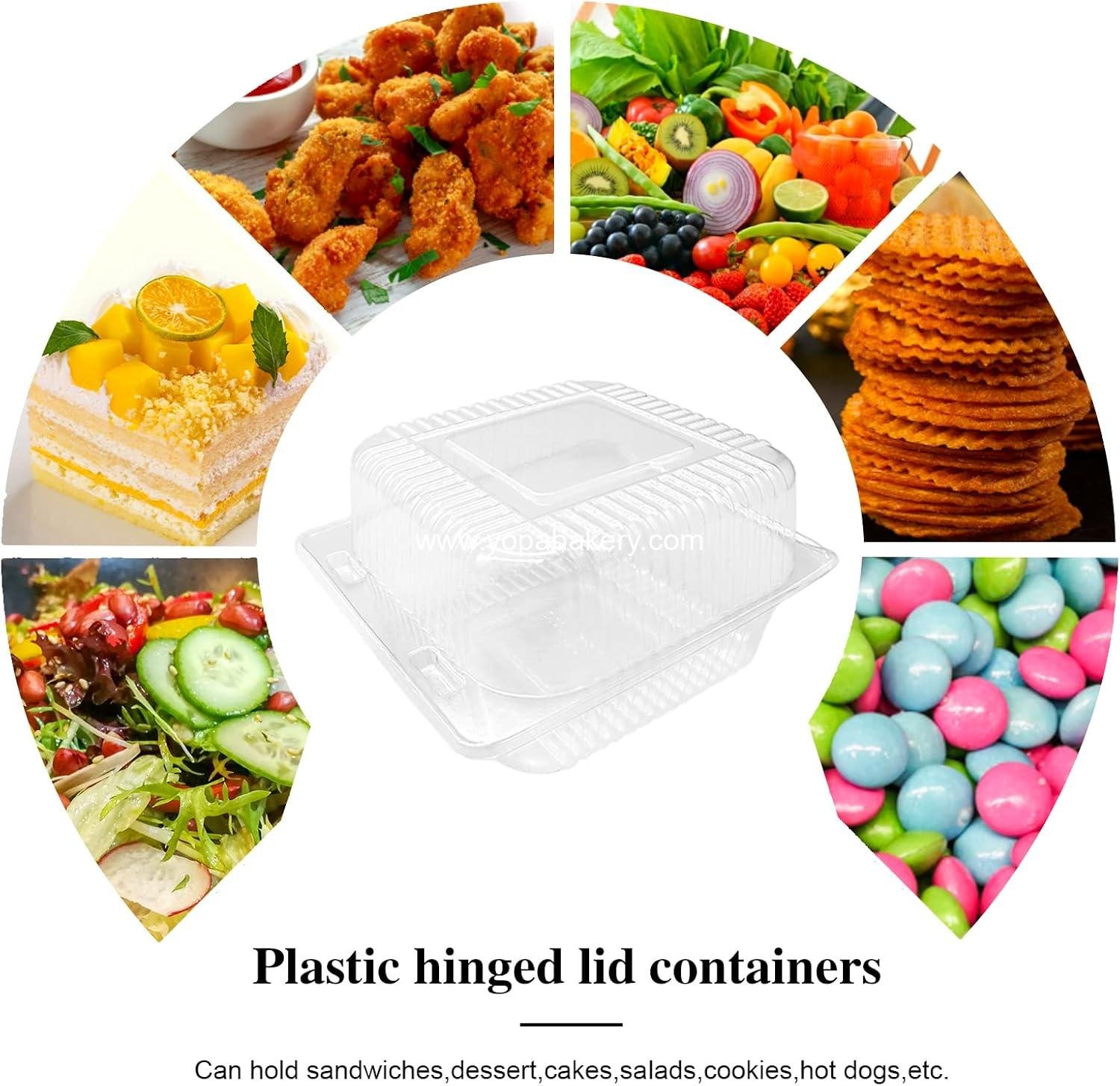 Wholesale 100 Pcs Clear Hinged Plastic Containers with Lids, Individual Cake Slice and Square Food Containers, Disposable Clamshell Takeout for Cakes, Cookies, Pasta, Sandwiches, Salad - Factory