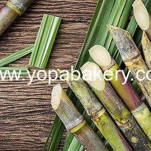 Wholesale 50 Pack 12 oz Compostable Coffee Cups with Lids and Kraft Sleeves, Eco-Friendly Disposable White Paper Cups Combo for Hot Beverages Factory