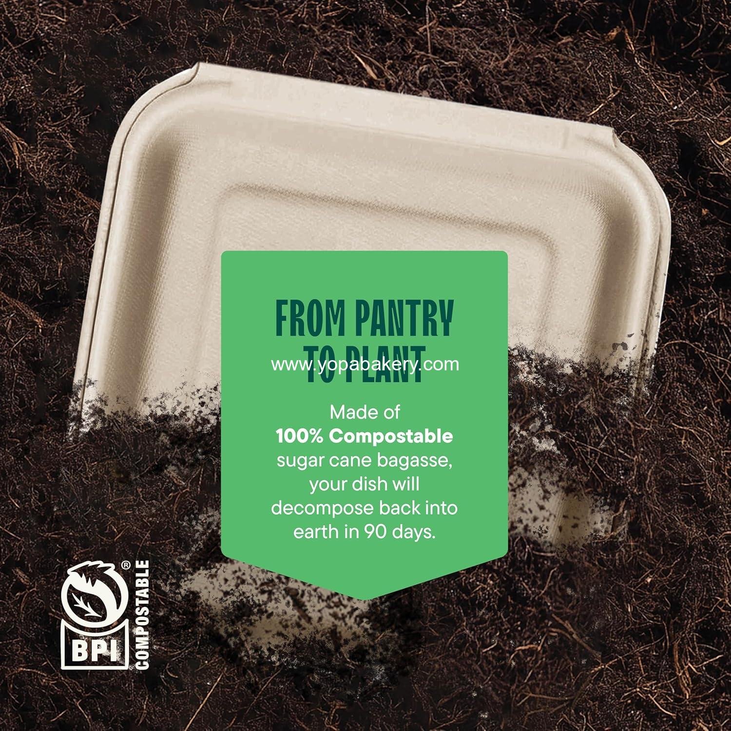 Wholesale 100% Compostable Clamshell Take Out Food Containers [8x8, 50-Pack] Heavy-Duty Eco-Friendly Biodegradable Made of Sugar Cane Fiber Factory