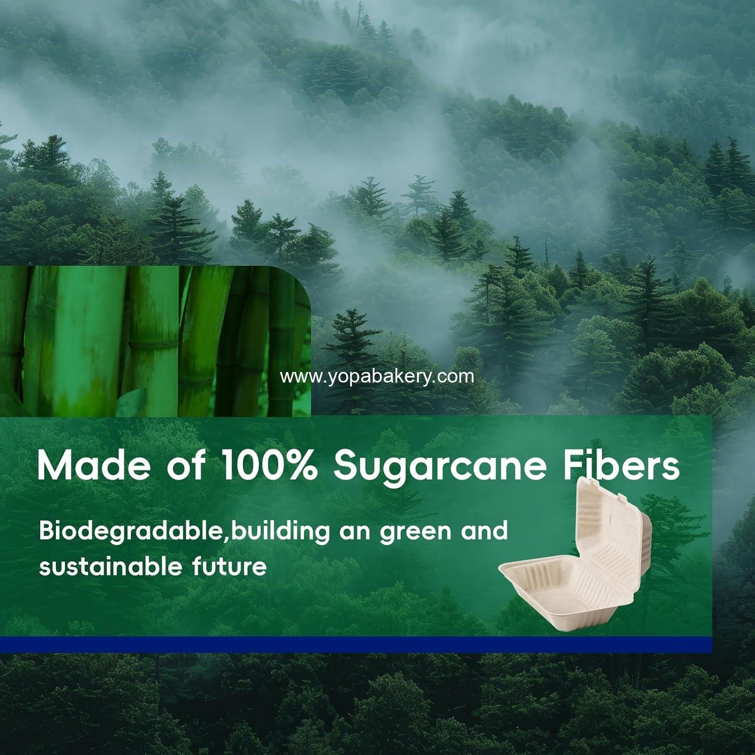 Wholesale 100% Compostable Sugarcane Clamshell Take Out Food Containers - 75-Pack 9 x 6