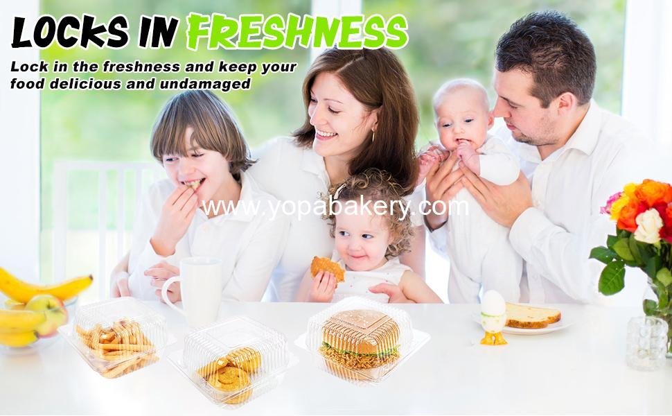 Wholesale 100 Pack Clear Plastic Disposable Clamshell Containers, 5 x 5 Inch Hinged Takeout Tray for Desserts, Cakes, and Sandwiches, OEM Factory Wholesale 100 Pack Clear Plastic Disposable Clamshell Containers, 5 x 5 Inch Hinged Takeout Tray for Desserts, Cakes, and Sandwiches, OEM Factory