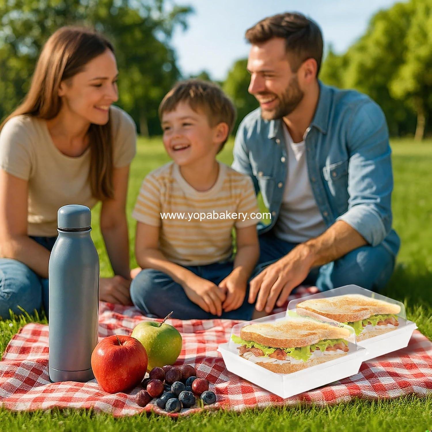 Wholesale Set of 100 Sandwich Boxes with Clear Lids, White Paper Charcuterie Boxes, 5