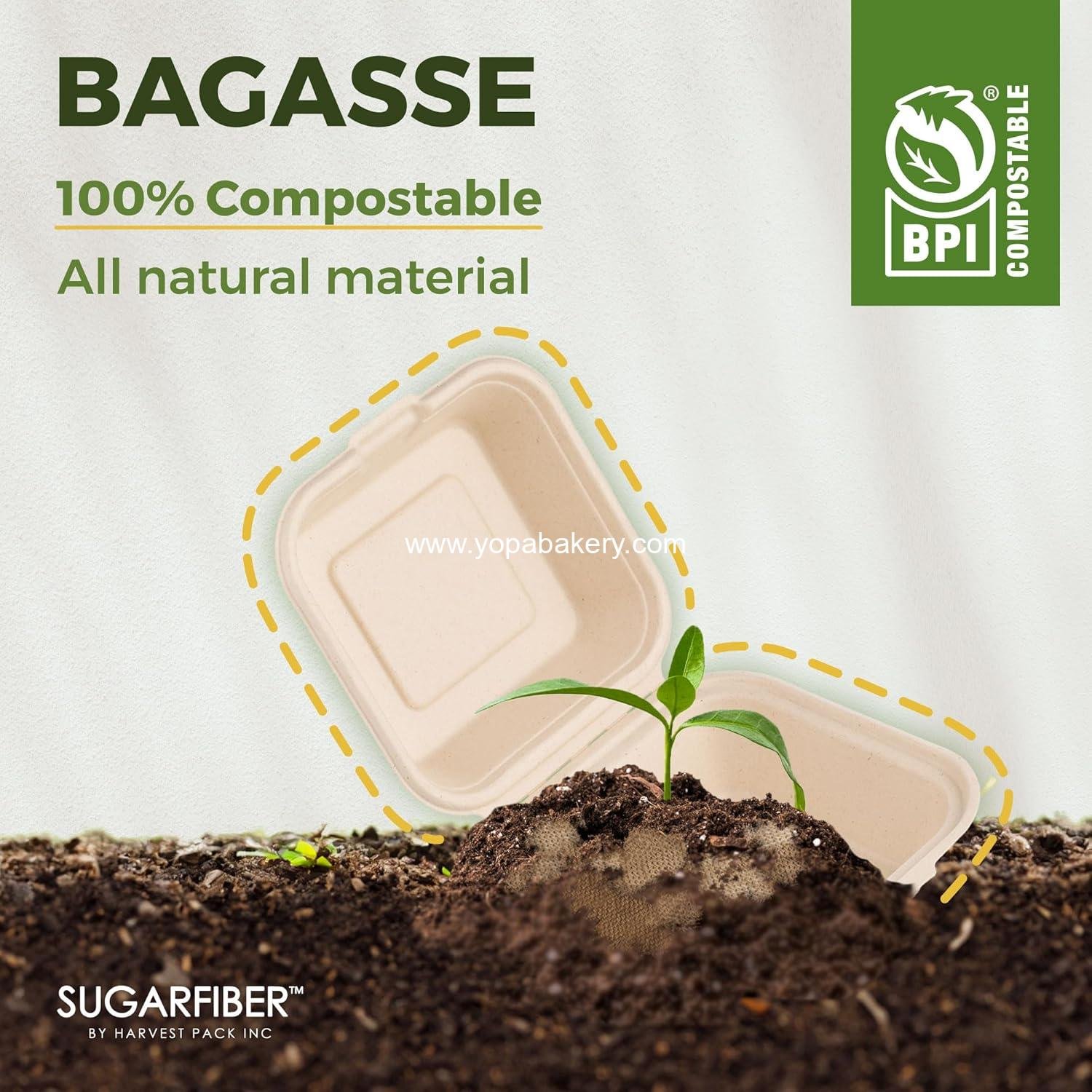 Wholesale 50 Count Compostable Clamshell Take Out Food Containers, 6x6