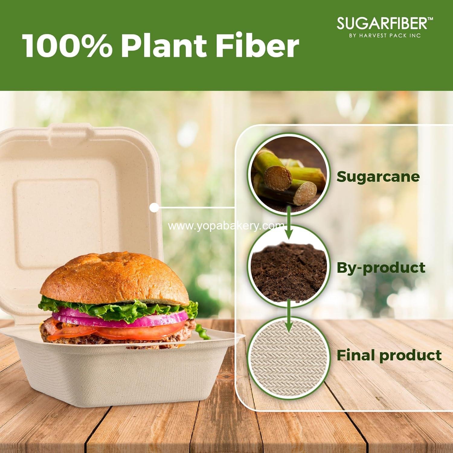 Wholesale 50 Count Compostable Clamshell Take Out Food Containers, 6x6