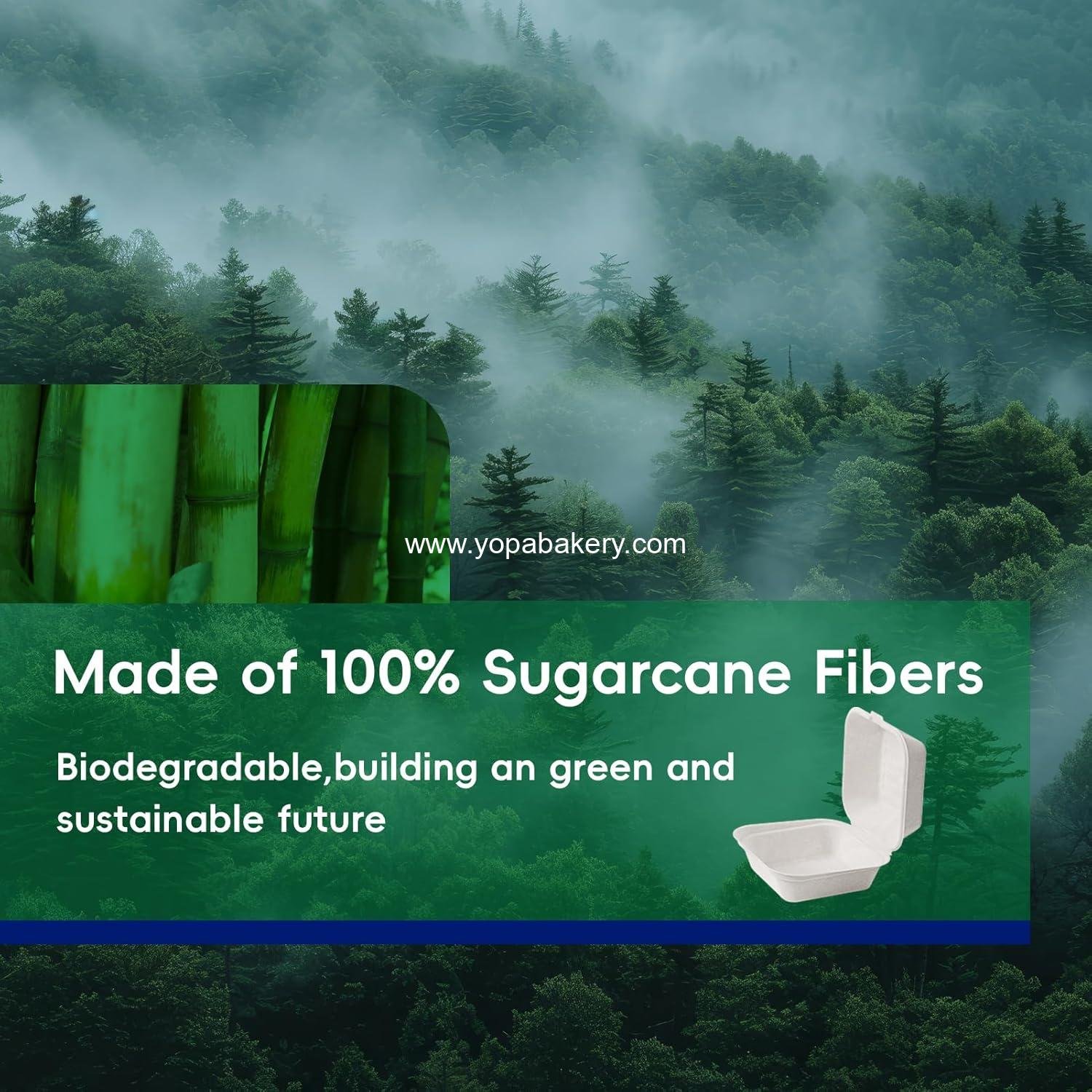 Wholesale Clamshell Take Out Food Containers 6