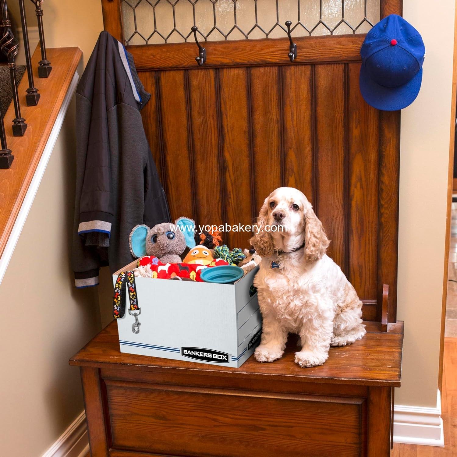 Wholesale 12 Pack Standard Duty File Storage Boxes Letter Legal Removable Lid Assembly Factory