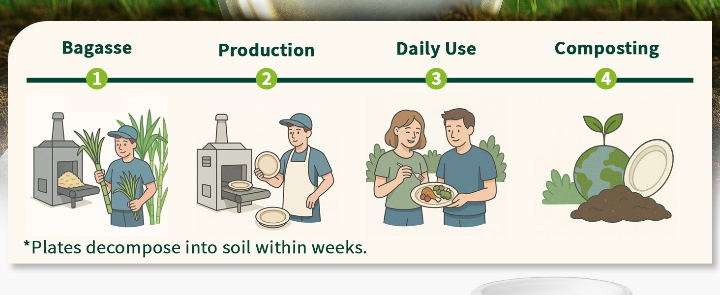 Wholesale 9x6 Inch Heavy Duty Clamshell Takeout Containers 75 Pack Compostable Bagasse Boxes with Lids Disposable To-Go for Lunch Salad Meal Prep Factory Wholesale 9x6 Inch Heavy Duty Clamshell Takeout Containers 75 Pack Compostable Bagasse Boxes with Lids Disposable To-Go for Lunch Salad Meal Prep Factory