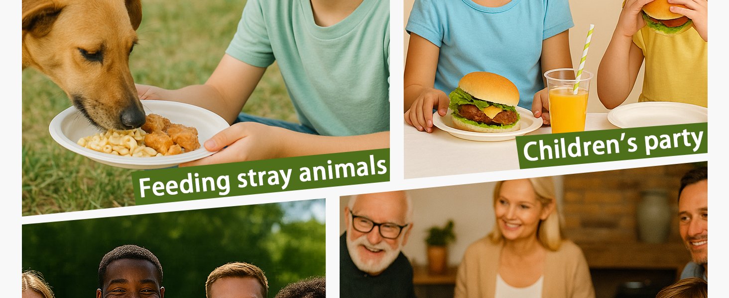 Wholesale 9x6 Inch Heavy Duty Clamshell Takeout Containers 75 Pack Compostable Bagasse Boxes with Lids Disposable To-Go for Lunch Salad Meal Prep Factory Wholesale 9x6 Inch Heavy Duty Clamshell Takeout Containers 75 Pack Compostable Bagasse Boxes with Lids Disposable To-Go for Lunch Salad Meal Prep Factory