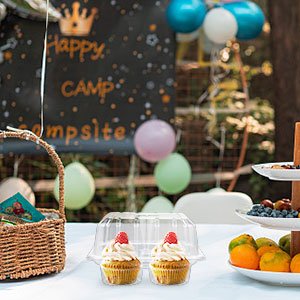 Wholesale 40-Pack 4-Compartment 4-Cavity Clear Plastic Cupcake Boxes Holders Containers Factory