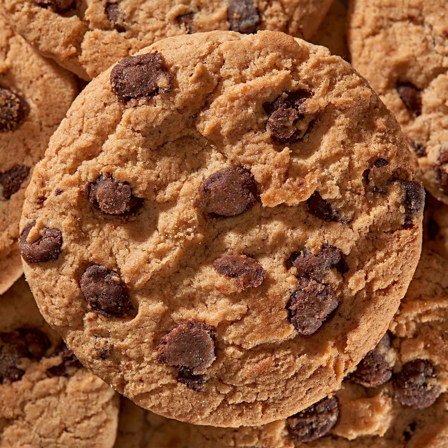 Wholesale Original Chocolate Chip Cookies 20 Snack Packs 2 Cookies Per Pack Manufacturer