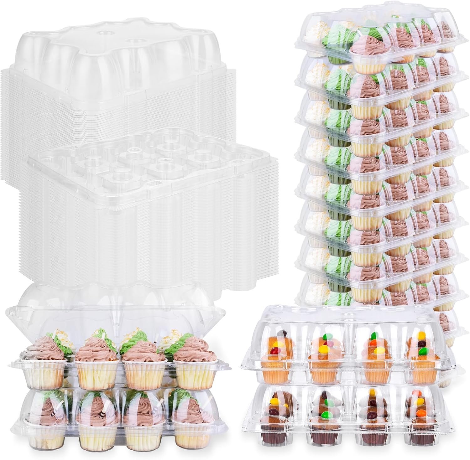 Wholesale 48 Pack 12-Compartment Mini Cupcake Containers Clear Plastic Holders with Detachable Lid High Dome for Cupcakes Muffins BPA-free Manufacturer