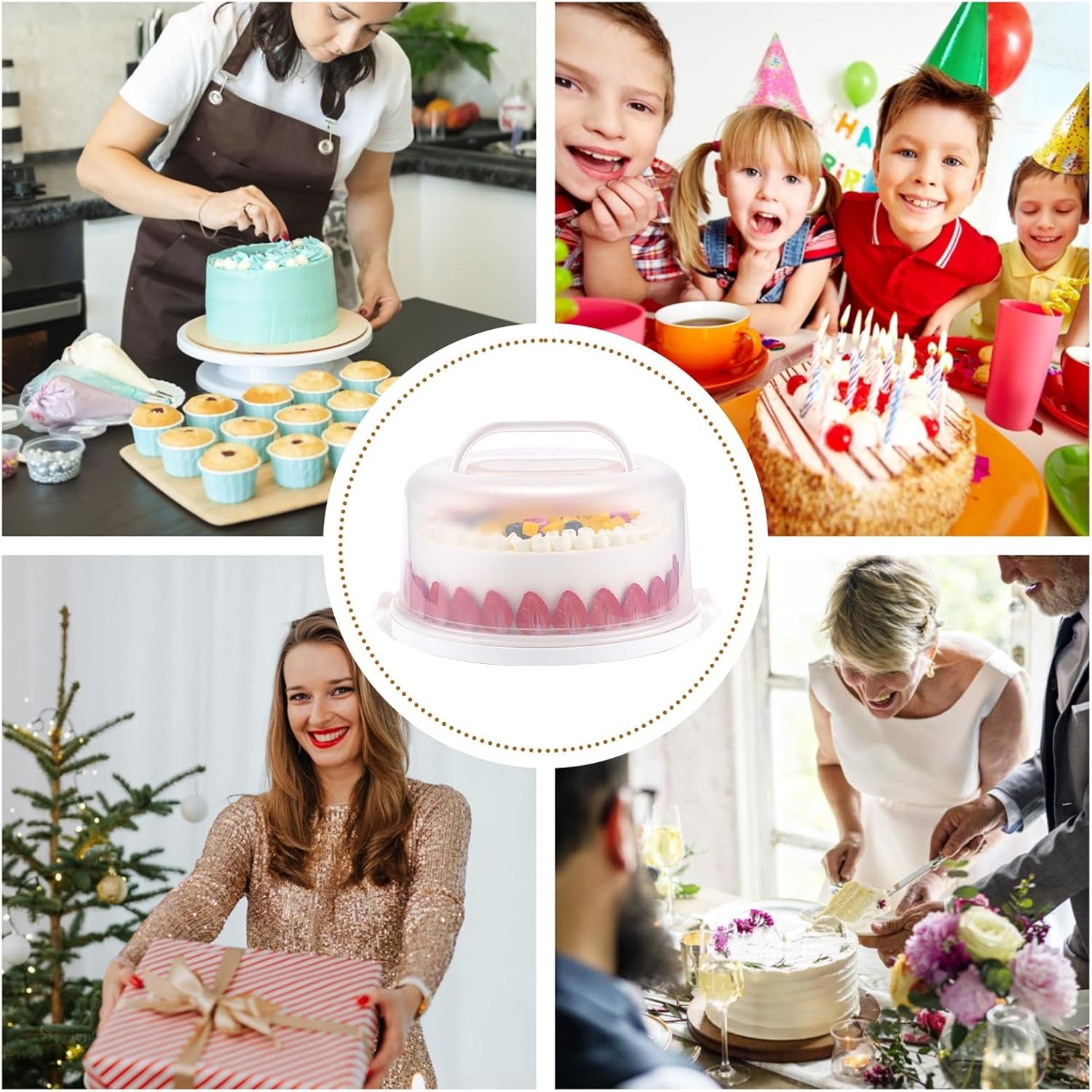 Wholesale BPA-Free Cake Carrier with Lid Handle and Two Sided Base for 10 Inch Cakes Cupcakes Pies Nuts Fruit Transport Manufacturer