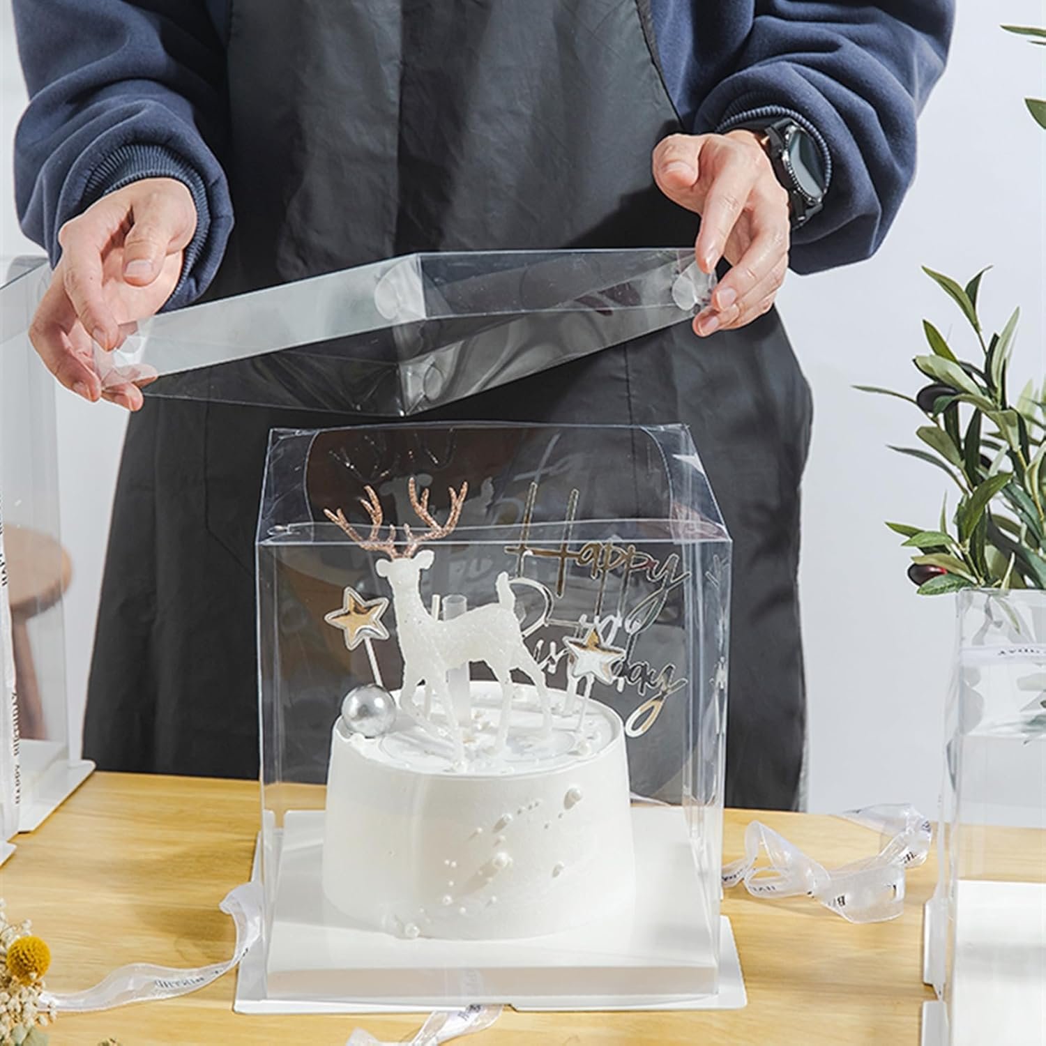 Wholesale 6 Pack Clear 2-Layer Transparent Cake Boxes with Ribbon 10