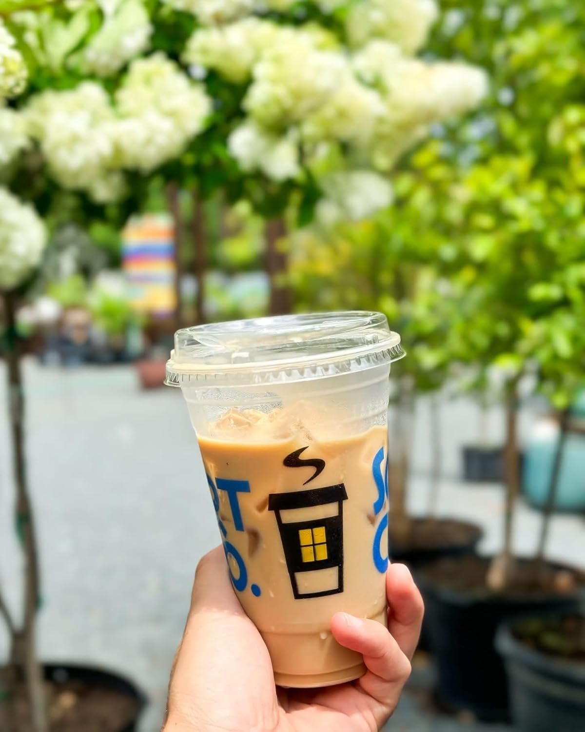 Wholesale 16 oz Custom Printed PET Plastic Cold Beverage Cups 100-1,000 Qty Manufacturer