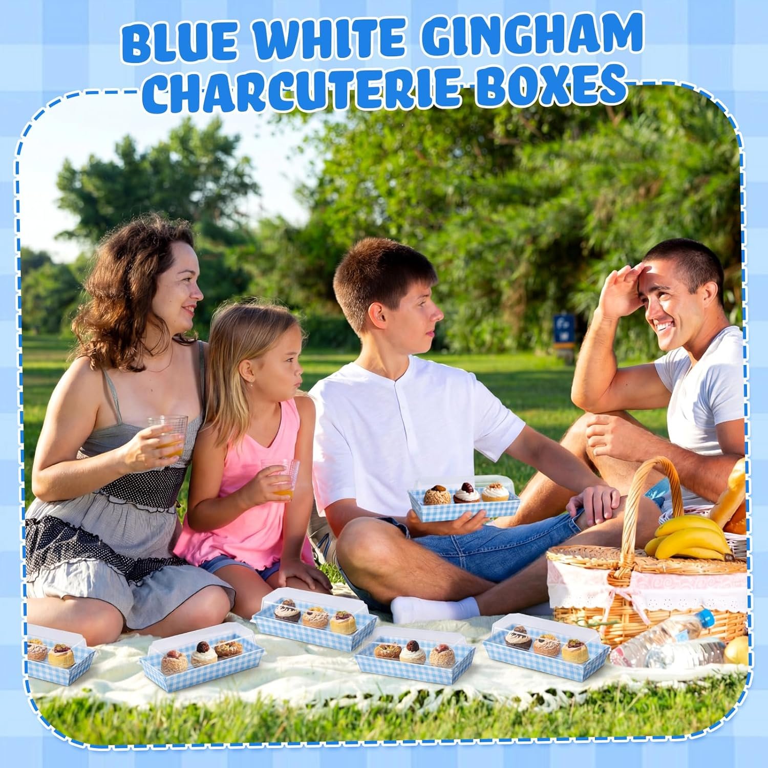 Wholesale 50 Pack Blue Plaid Cookie Snack Boxes with Clear Lids Disposable Dessert Presentation Boxes for Parties Weddings Picnics Events Manufacturer