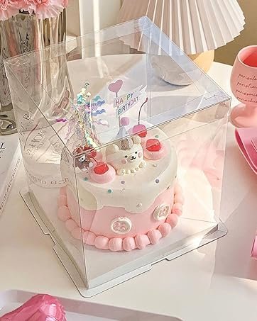 Wholesale 2Pcs Large Cake PET Clear Box 10