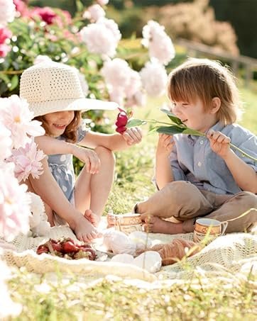 Wholesale Small 5-Inch Charcuterie Boxes with Clear Lids Disposable Paper Food Containers for Bakery Desserts Sandwiches Cookies Pastries Cake Slices Brown 50ct Manufacturer Wholesale Small 5-Inch Charcuterie Boxes with Clear Lids Disposable Paper Food Containers for Bakery Desserts Sandwiches Cookies Pastries Cake Slices Brown 50ct Manufacturer