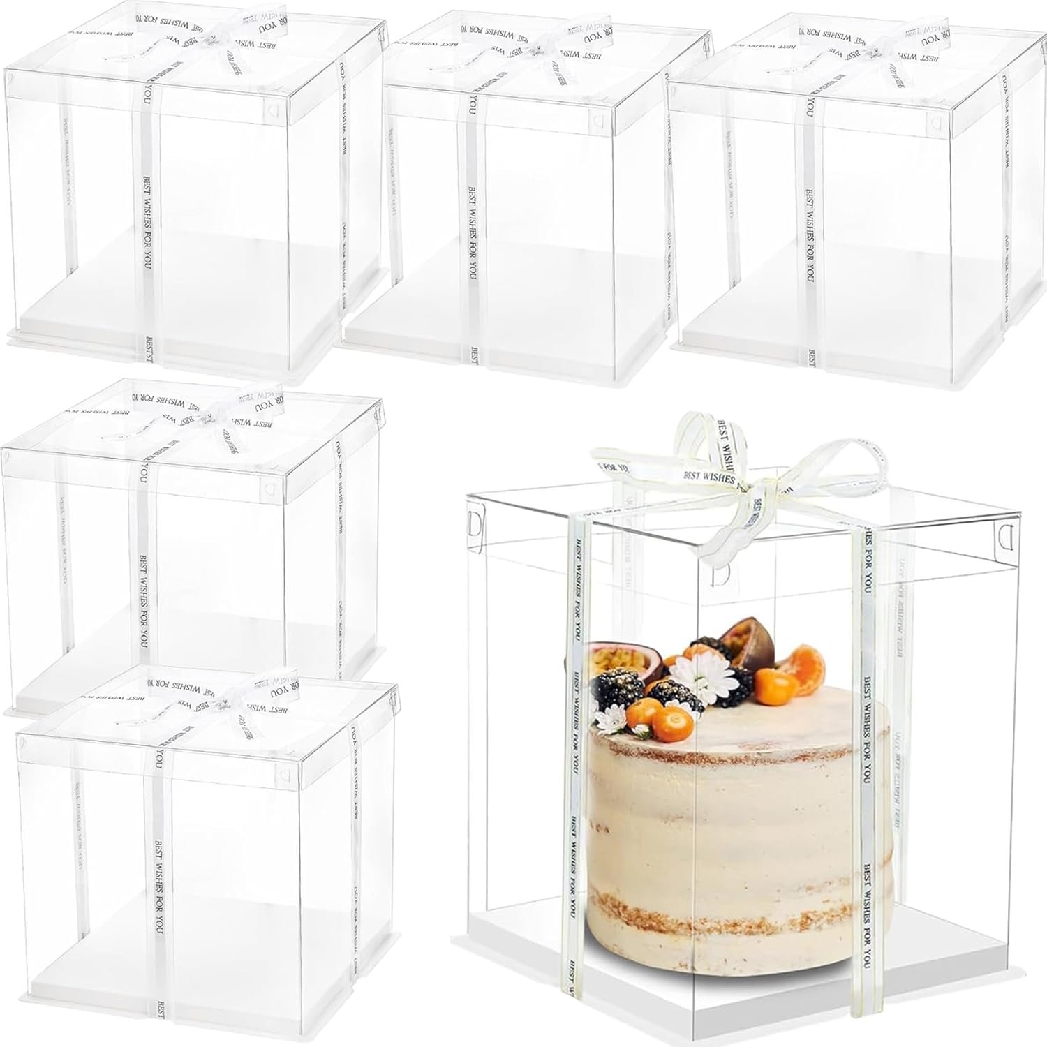 Wholesale 6 Pack Clear 2-Layer Transparent Cake Boxes with Ribbon 10