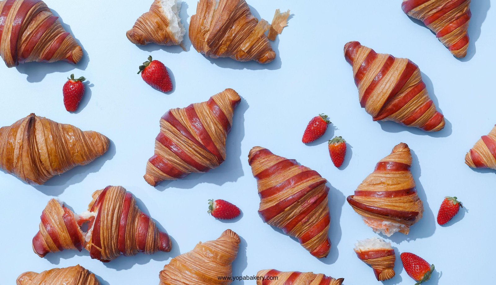 10 Dreamy Bakery Shops in Albuquerque, New Mexico For World-Class Pastries