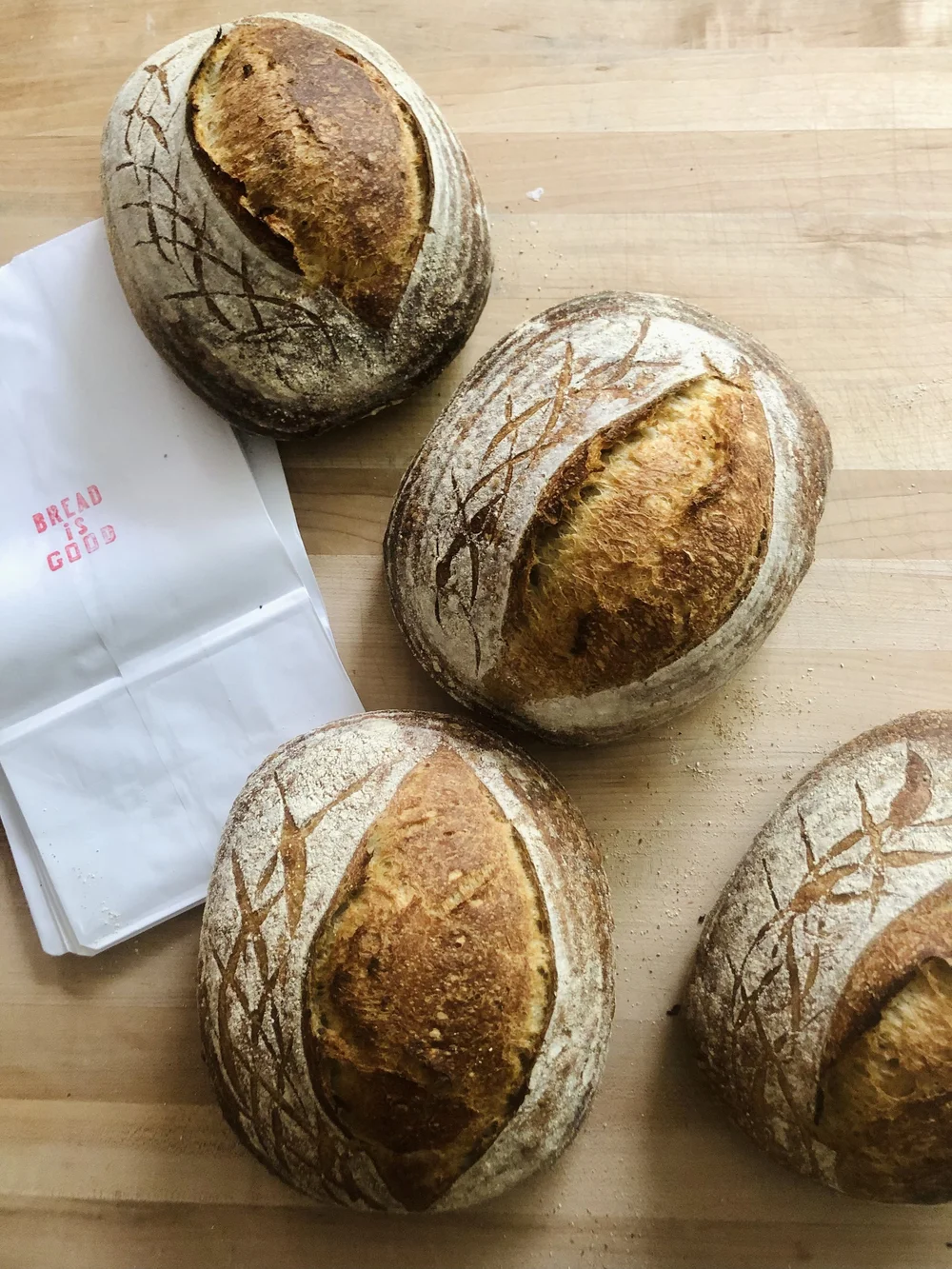 10 Cozy Bakery Shops in Atlanta, Georgia To Satisfy Your Sweet Tooth 10 Cozy Bakery Shops in Atlanta, Georgia To Satisfy Your Sweet Tooth